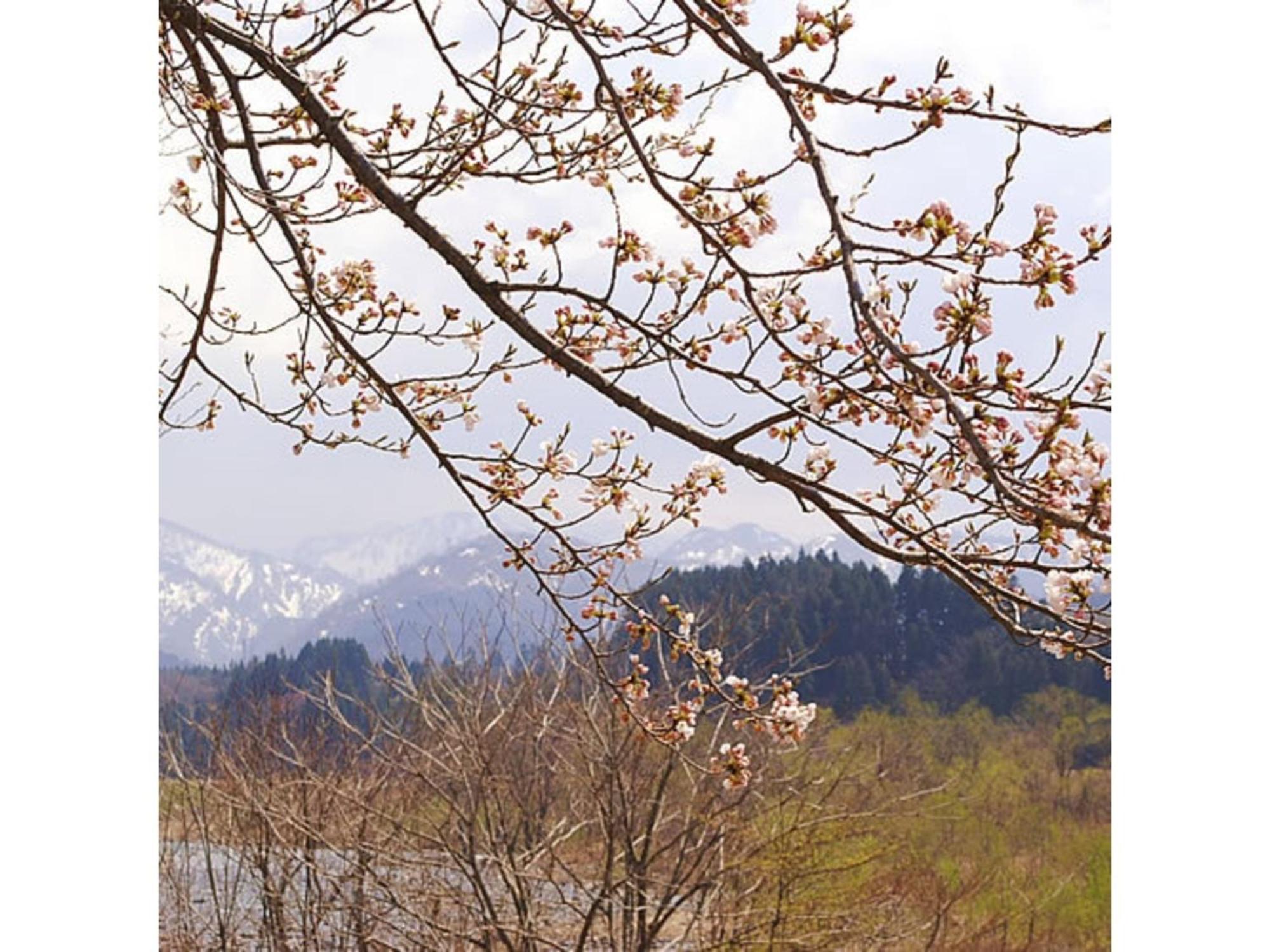 Shintainai Onsen Royal Tainai Park Hotel - Vacation Stay 90212V Exterior foto