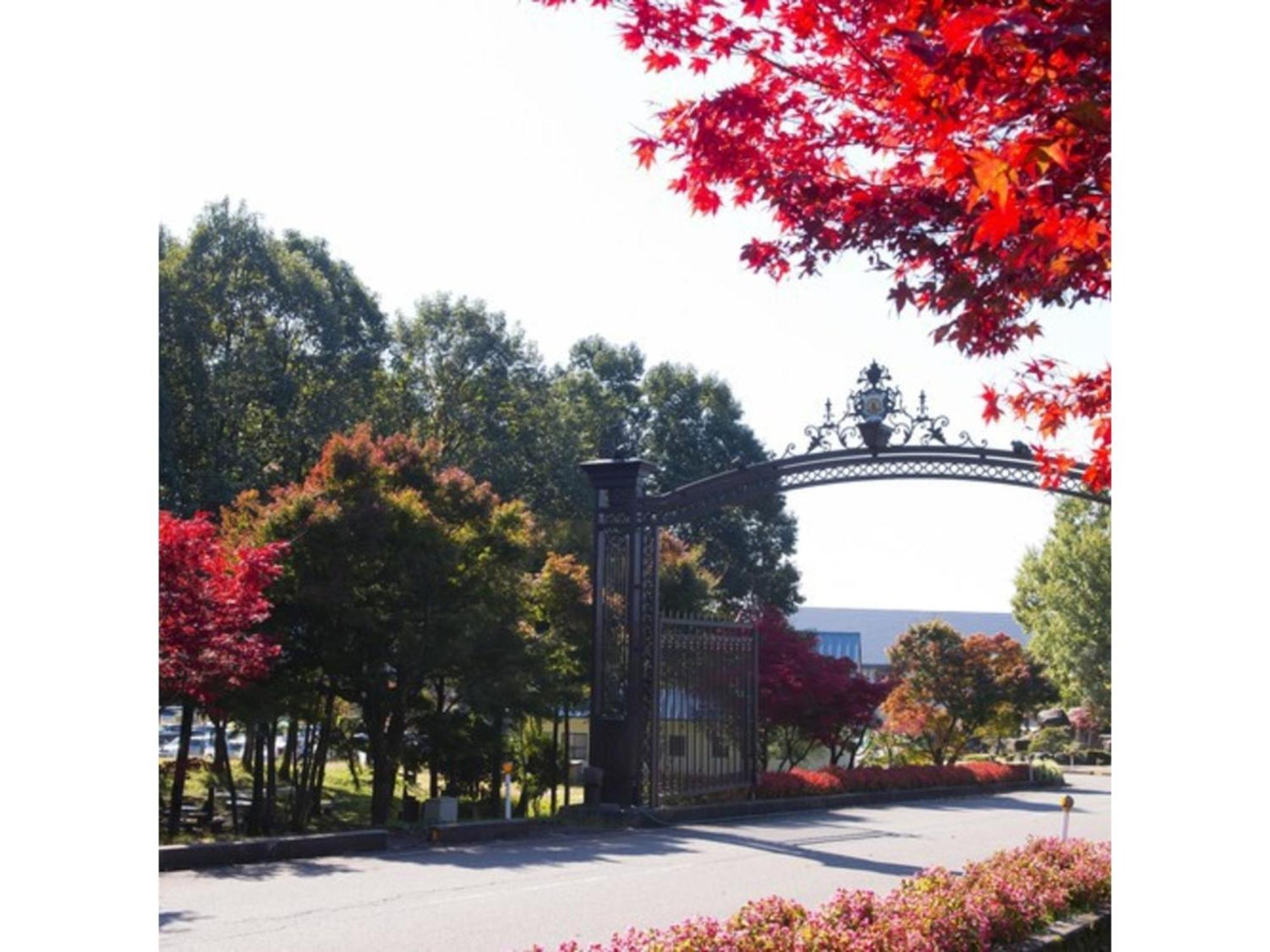 Shintainai Onsen Royal Tainai Park Hotel - Vacation Stay 90212V Exterior foto